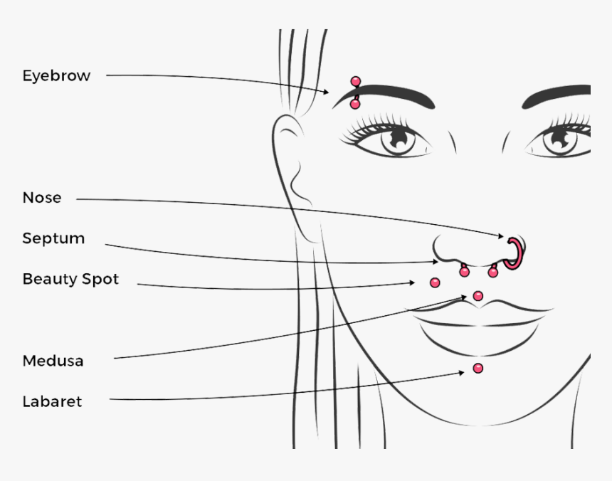 Piercing Chart, HD Png Download, Free Download