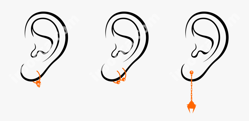 There Are Different Variants Of Ear Piercing - Ear With Earring Clipart, HD Png Download, Free Download