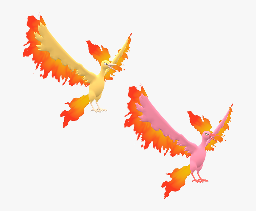 Download Zip Archive - Pokemon Moltres 3d Model, HD Png Download, Free Download