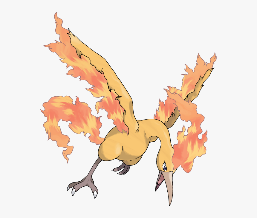 Moltres Pokemonpets, HD Png Download, Free Download