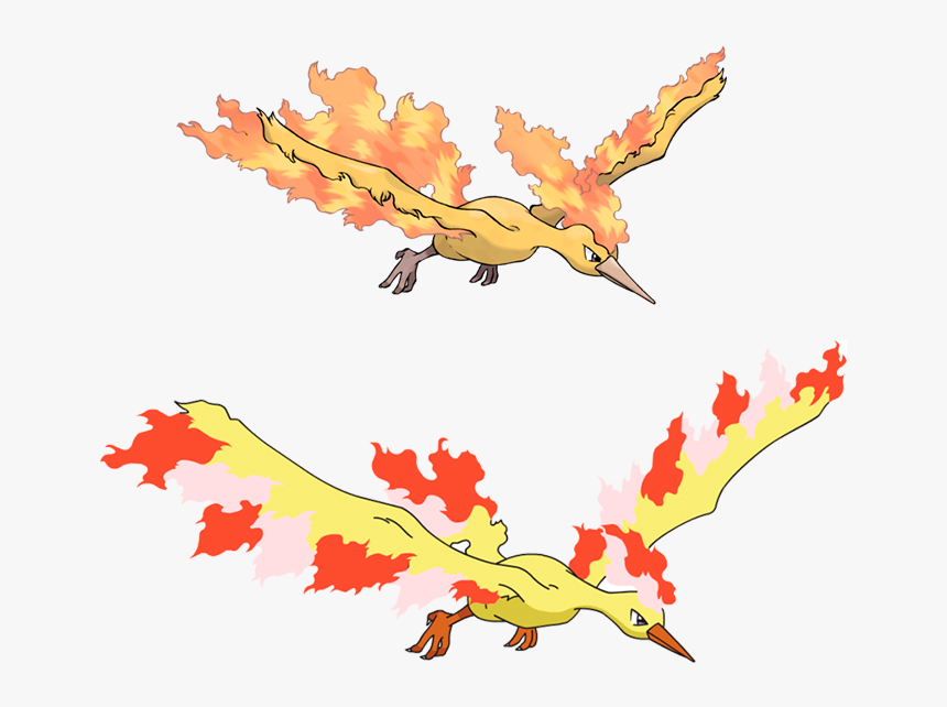 Pokemon Moltres, HD Png Download, Free Download