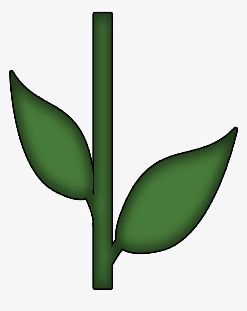 Stem Clipart - Flower Stem And Leaves, HD Png Download, Free Download