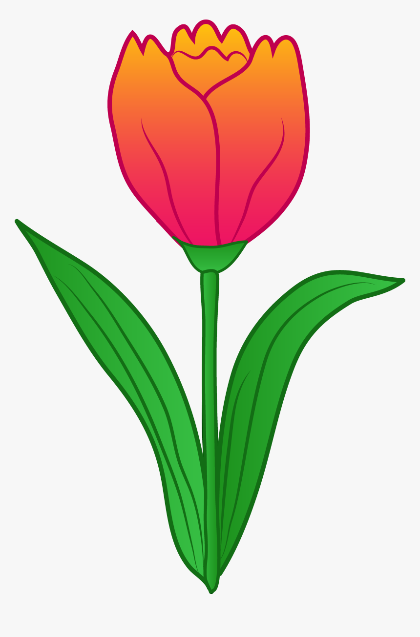 Flower Tulip Clip Art, HD Png Download, Free Download