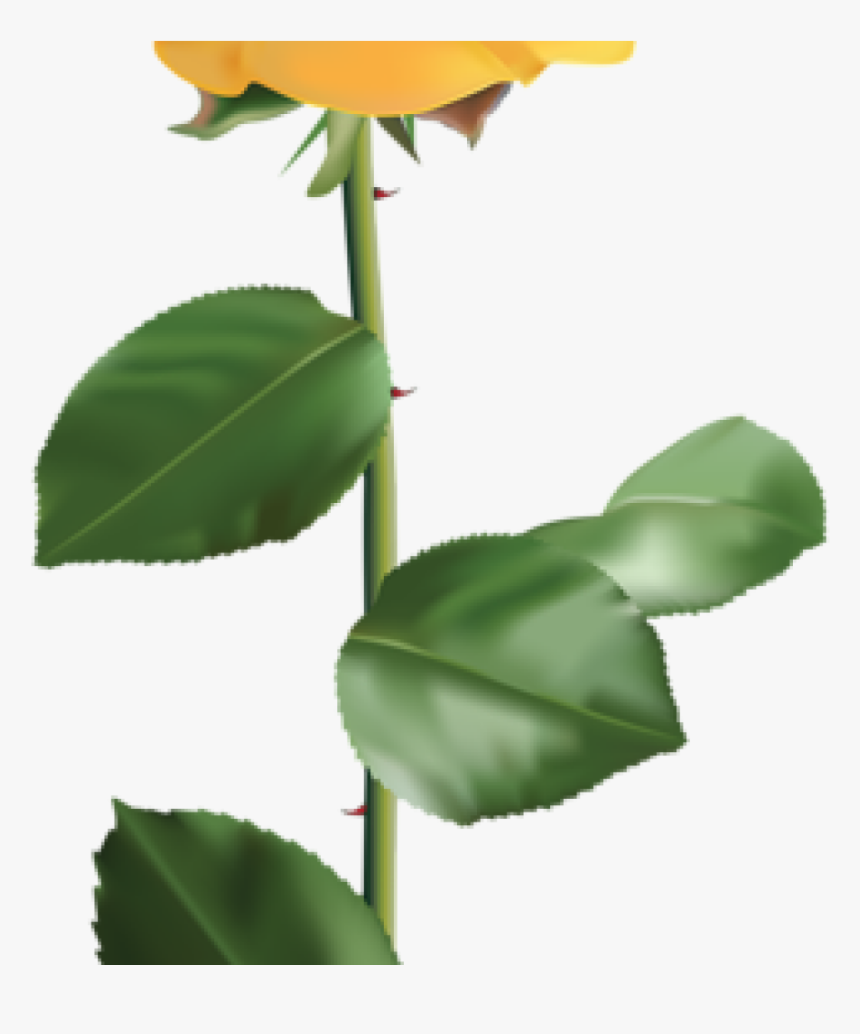 Yellow Rose Clipart Vintage Yellow Rose Encode Clipart - Yellow Rose Flower Png, Transparent Png, Free Download