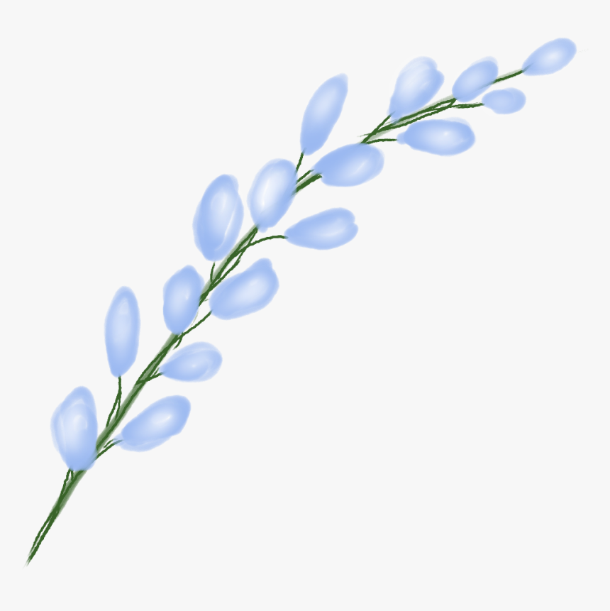 #flower #stem #floral #freetoedit - Lobelia, HD Png Download, Free Download