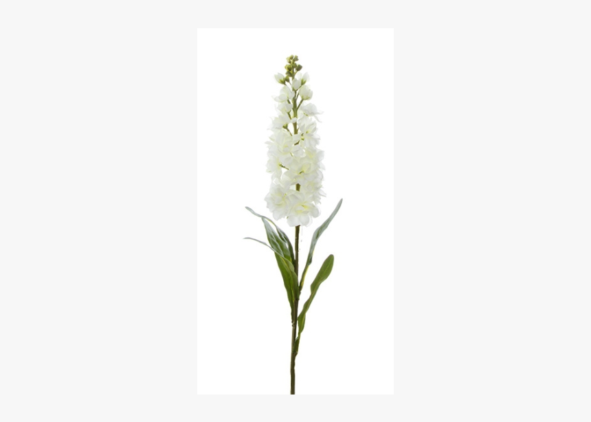 Ixia, HD Png Download, Free Download