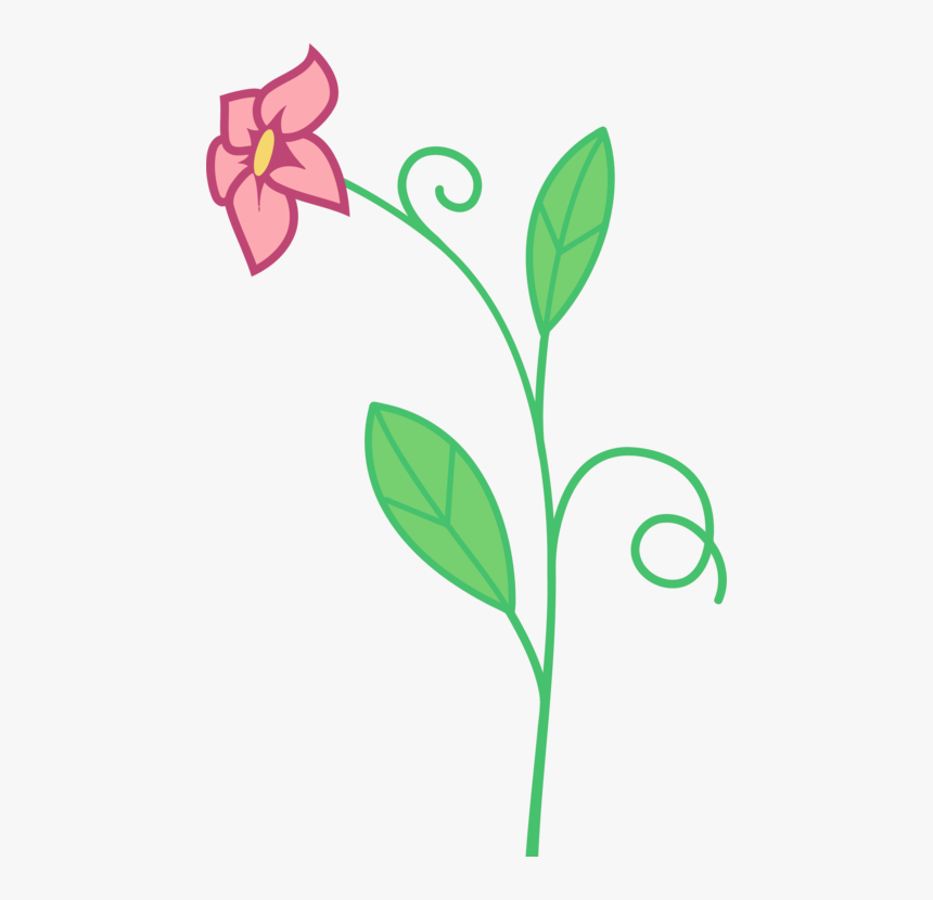 Plant,flora,leaf, HD Png Download, Free Download