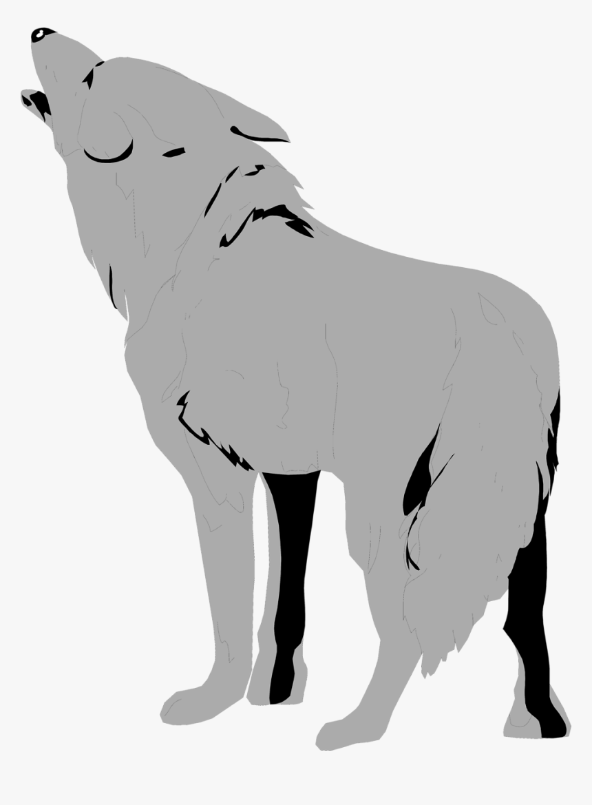 Transparent Wolf Clipart - Transparent Coyote Clipart, HD Png Download, Free Download