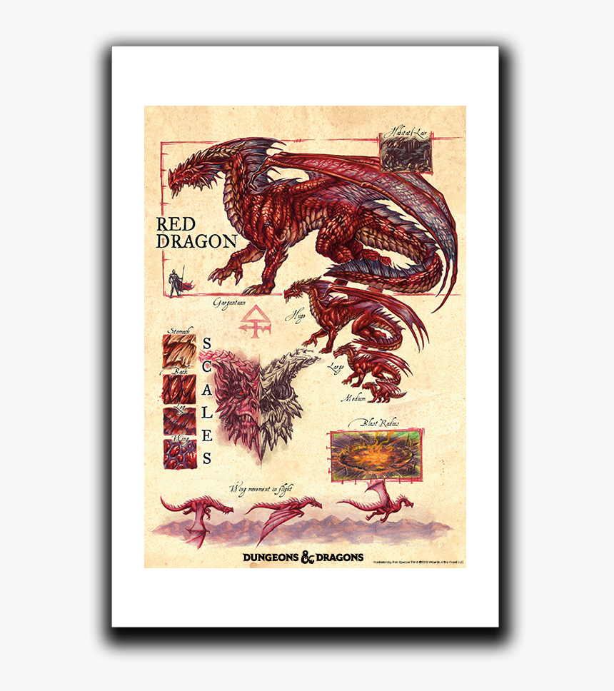 Red Dragon A Practical Guide To Dragons, HD Png Download, Free Download