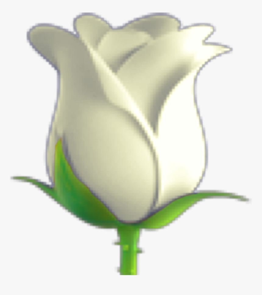 ~🌹might Need To Redo This - White Rose Emoji Png, Transparent Png, Free Download