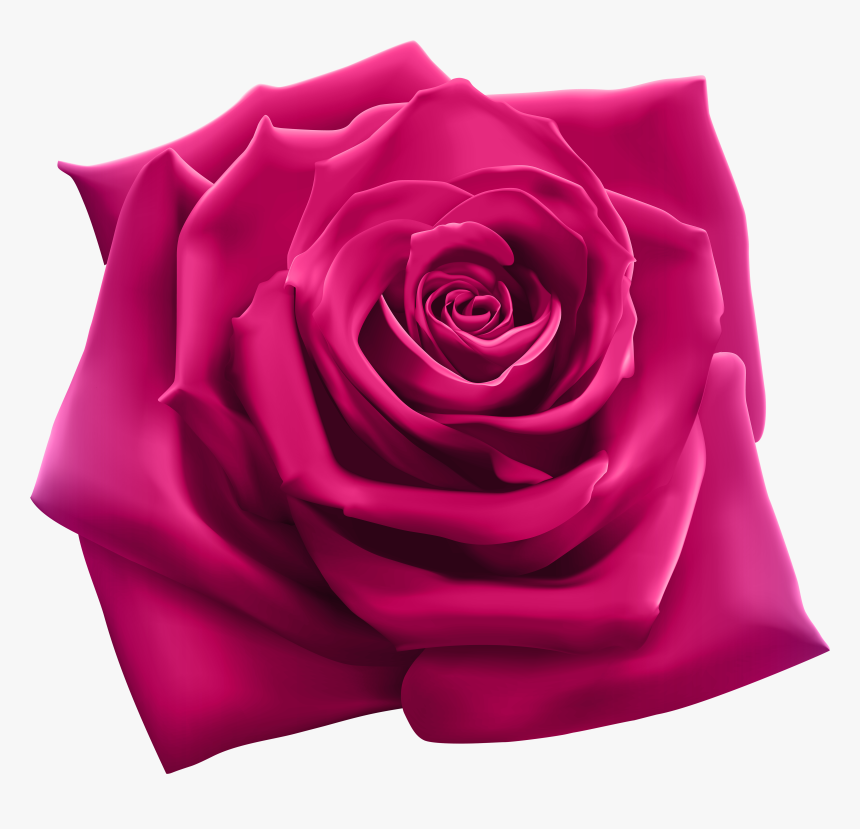 Pink Rose Transparent Background, HD Png Download, Free Download