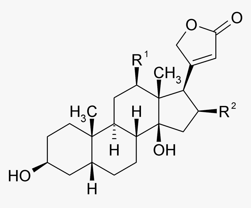 File - Digitalis Glycosides - Tetrahydro Aldosterone, HD Png Download, Free Download