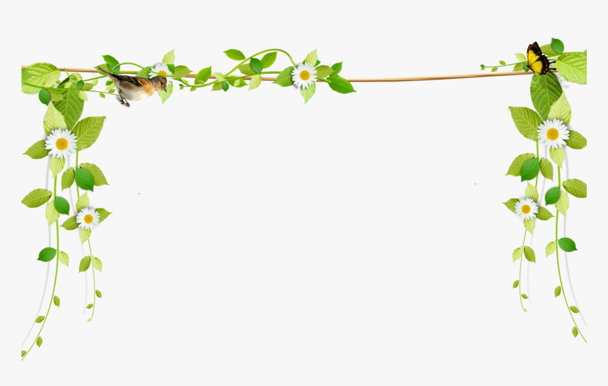 Beautiful Fresh Vines Border Rope Png Download - Transparent Background Vine Border, Png Download, Free Download