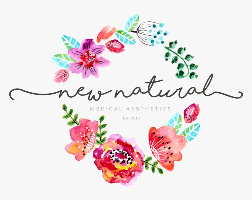 Transparent Single Tribal Arrow Clipart - Garden Roses, HD Png Download, Free Download