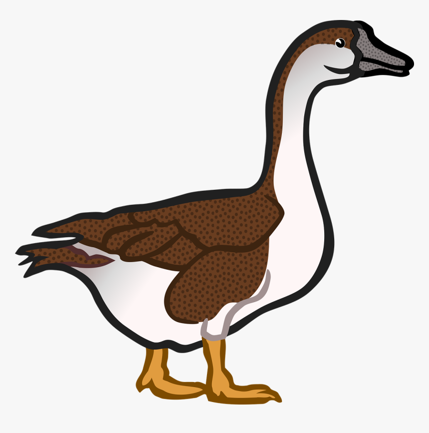 Singular And Plural Duck, HD Png Download, Free Download