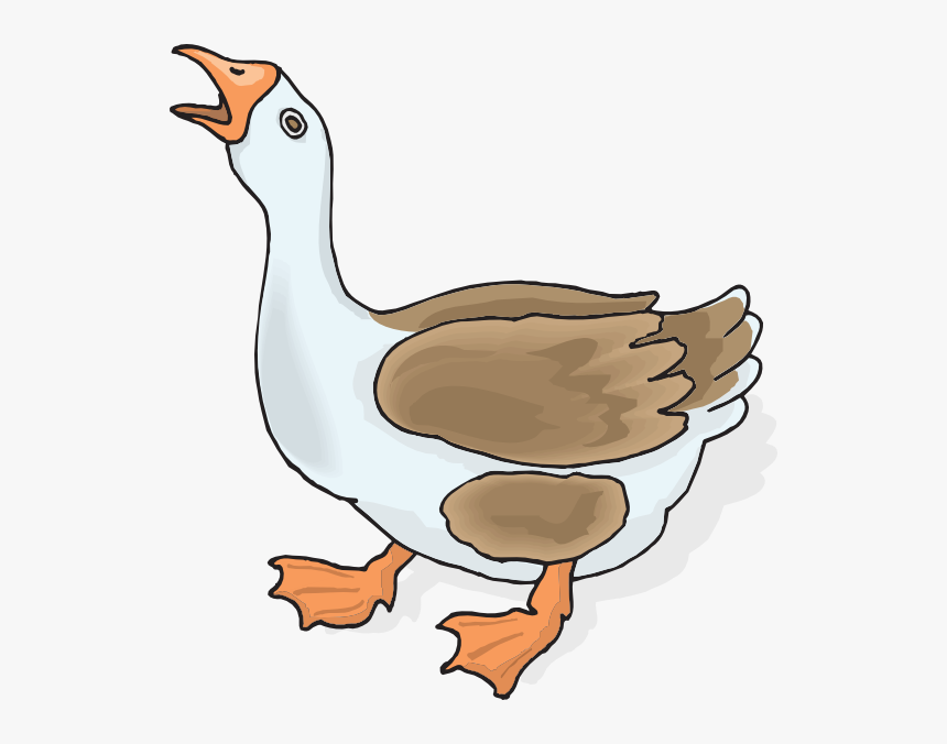 Png Clipart Goose Collection - Draw A Squawking Geese, Transparent Png, Free Download