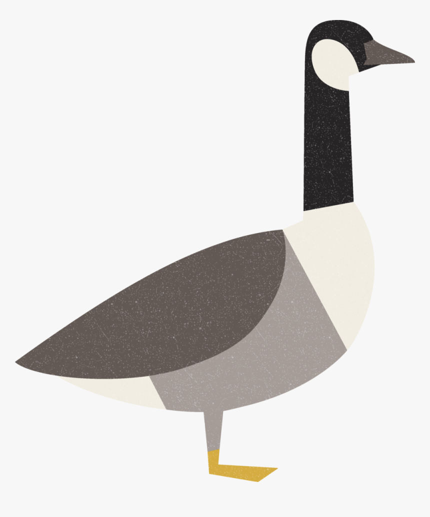 Canadian Goose Charley Harper, HD Png Download, Free Download