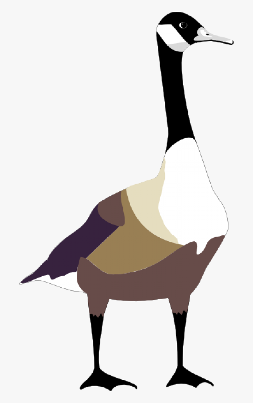 Bird Free Vector - Canada Goose Clipart, HD Png Download, Free Download