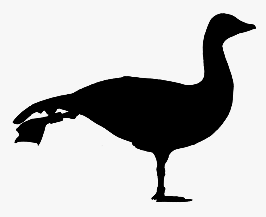 Goose, Silhouette, Morning Exercise, Funny, Stretch - Goose Silhouette Png, Transparent Png, Free Download