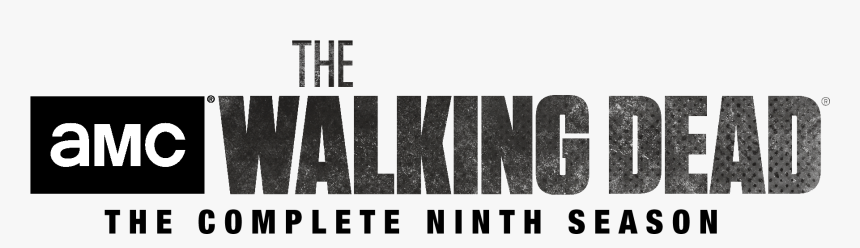 Walking Dead, HD Png Download, Free Download