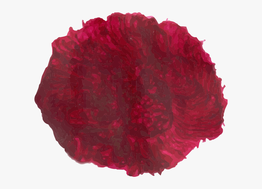 Red Brush Stroke Png - Woolflowers, Transparent Png, Free Download