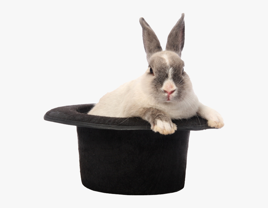 Rabbit Hat Png Image - Stock Photography, Transparent Png, Free Download