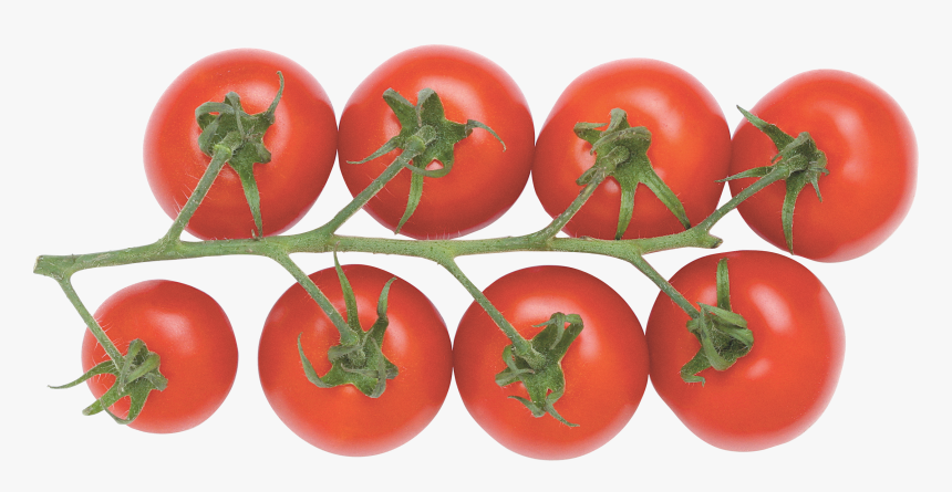 Cherry Tomato Plant Png - Cherry Tomato Transparent Background, Png Download, Free Download