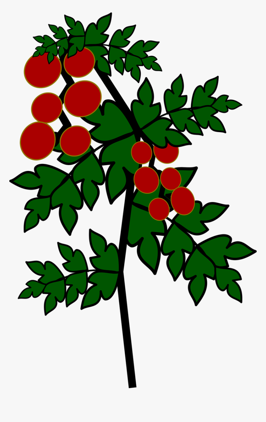 Icon, Tomato, Tomatoes, Orchard, Vegetables - Tomato Tree Icon, HD Png Download, Free Download