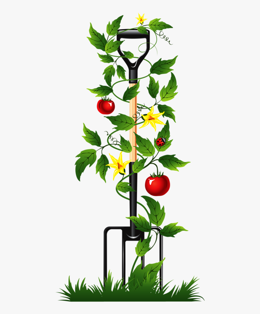 Tomato Vine Vector Png - Poems For Gardeners Funerals, Transparent Png, Free Download