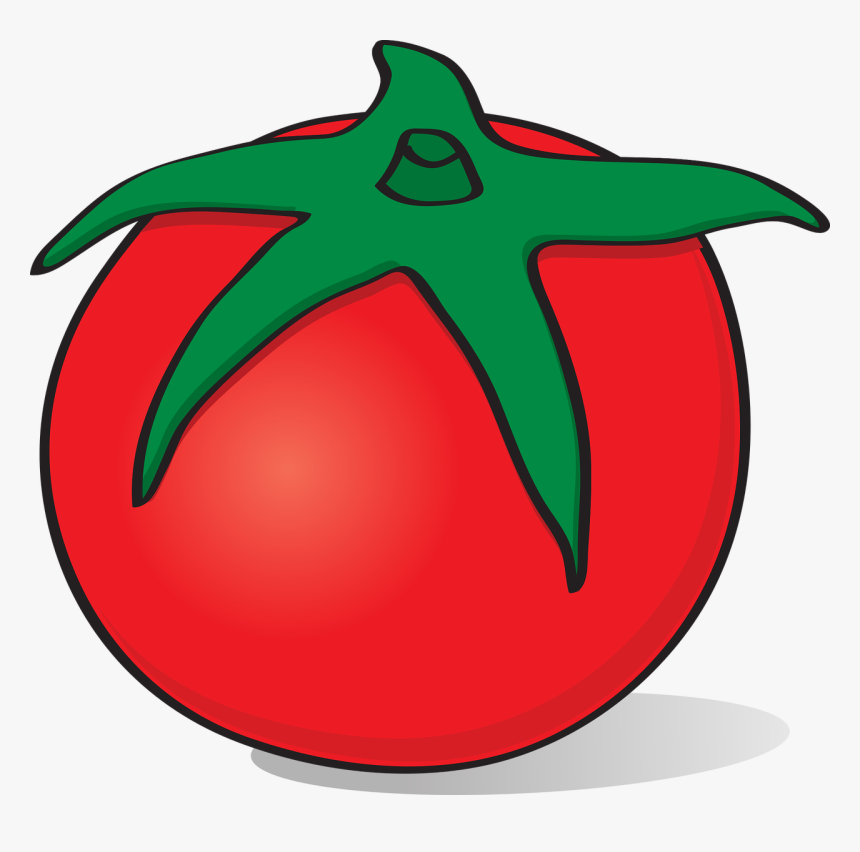 Transparent Vegetable Clipart - Tomato Plants Clipart Transparent, HD Png Download, Free Download