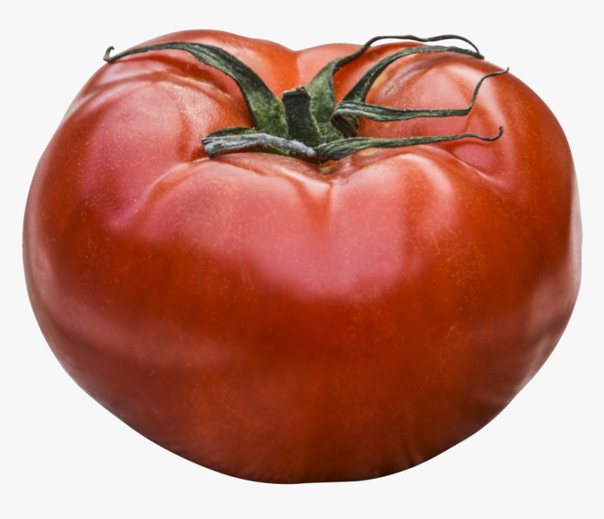 Dreaming Tomatoes, HD Png Download, Free Download