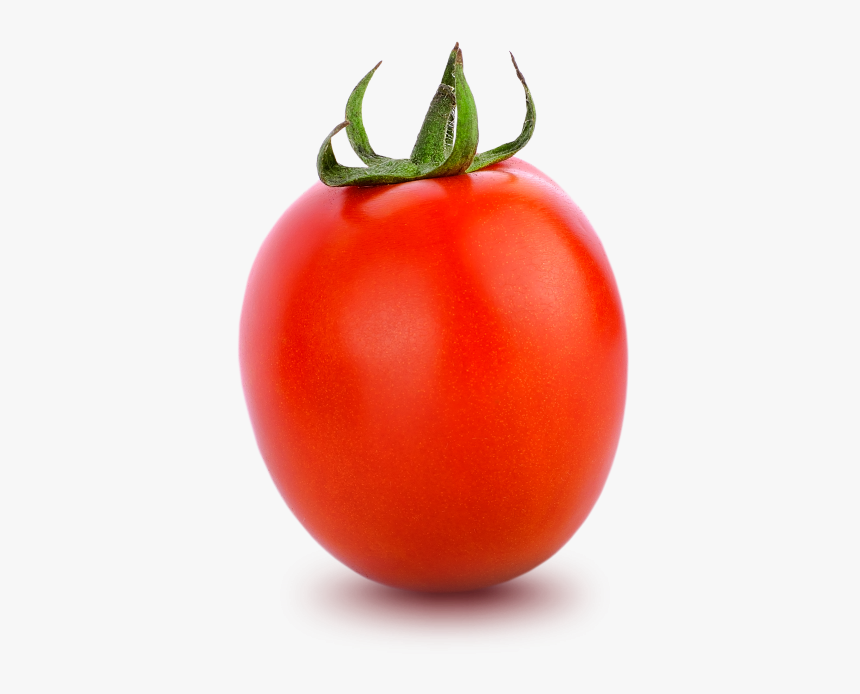 Plum Tomato, HD Png Download, Free Download