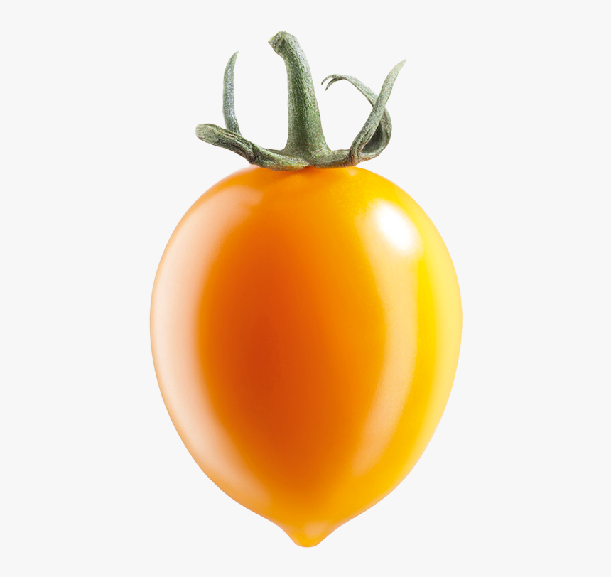 Pomodorino Giallo Del Vesuvio, HD Png Download, Free Download