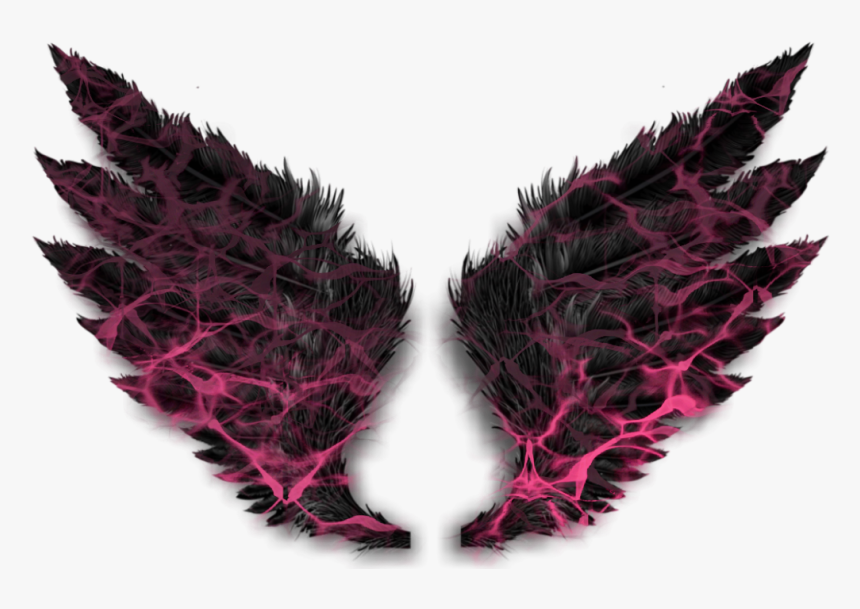 #firewings #darkangel #angelwings #angels #angel #wings - Black Angel Wings Png, Transparent Png, Free Download