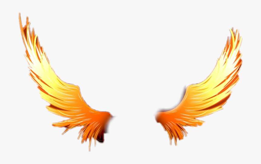 #fire #angel #demon #aile #wing - Fire Angel Wings Png, Transparent Png, Free Download