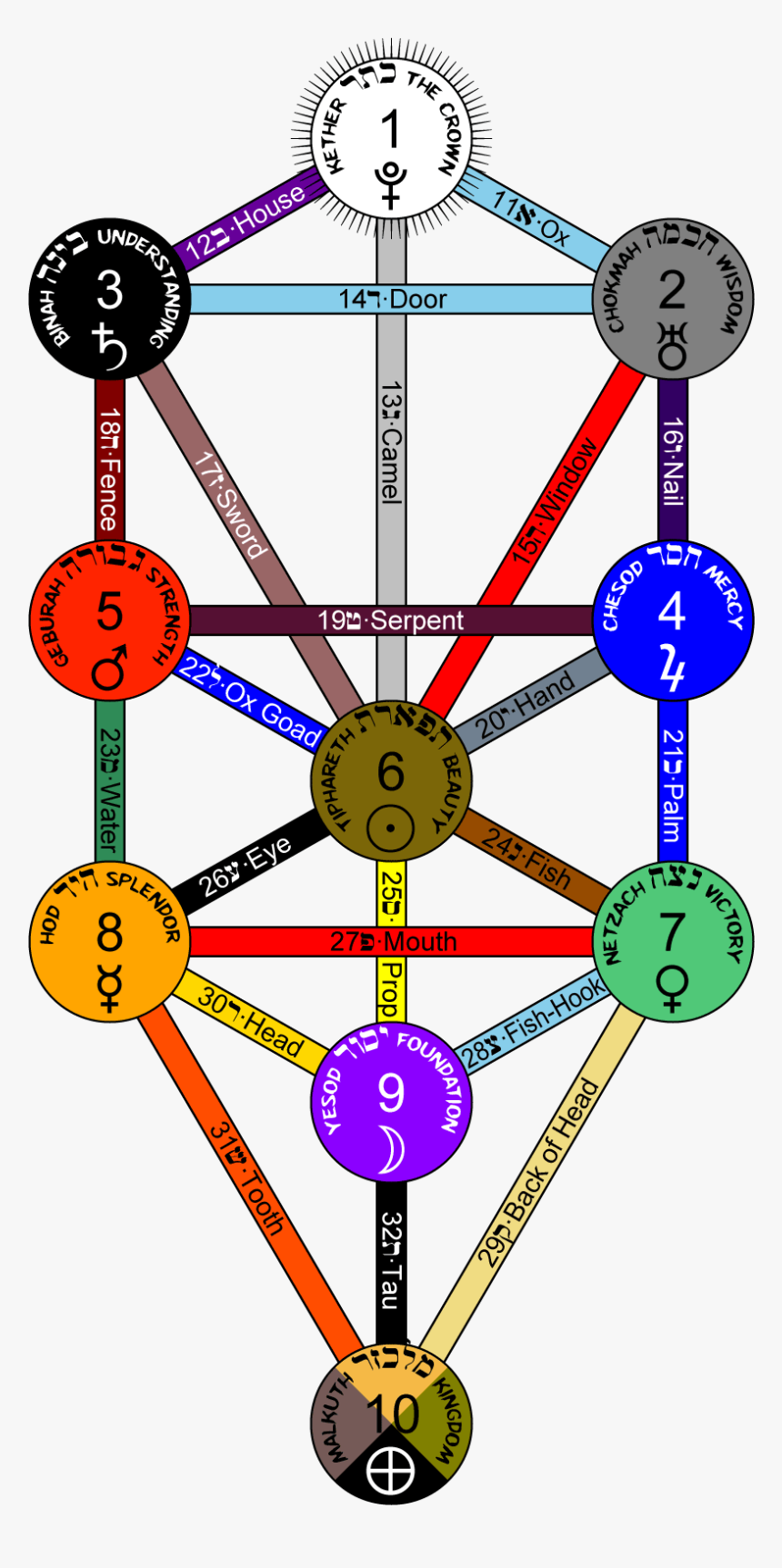 Tree Of Life Kabbalah Colors, HD Png Download, Free Download