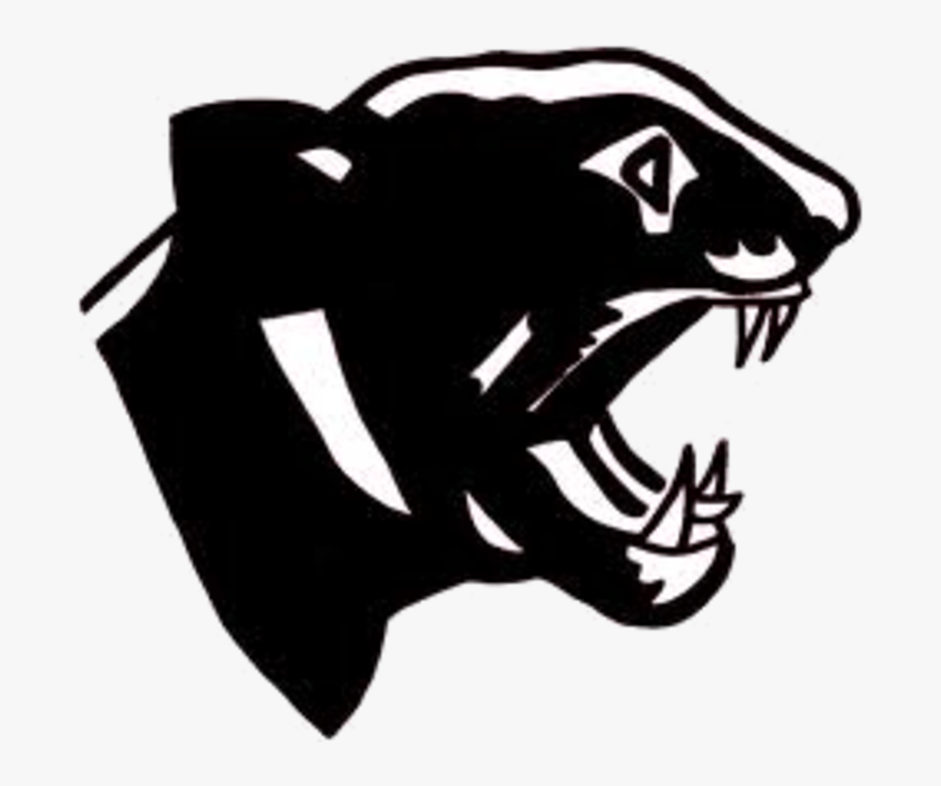 Carolina Panthers South Iron High School Philadelphia - South Iron High School Mo, HD Png Download, Free Download