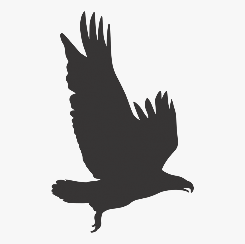 Eagle, Eagle Silhouette, Silhouette, Wings, Flight, - Hawk Silhouette, HD Png Download, Free Download