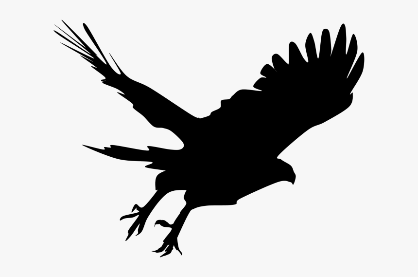 Bald Eagle Silhouette Hawk Clip Art - Hawk Silhouette Png, Transparent Png, Free Download