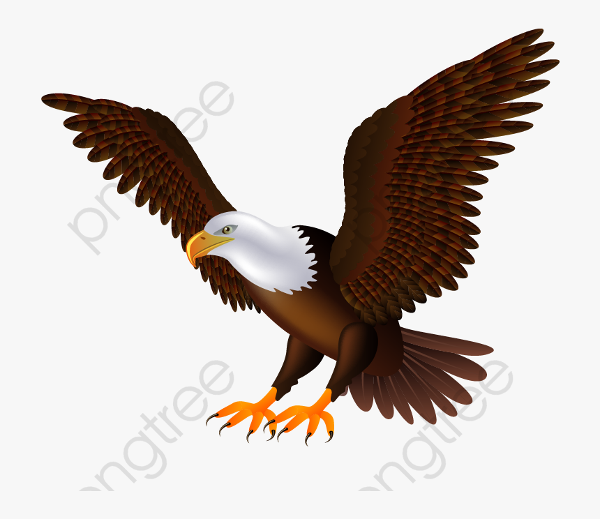 Eagles Wings Birds - Transparent Background Eagle Clipart, HD Png Download, Free Download