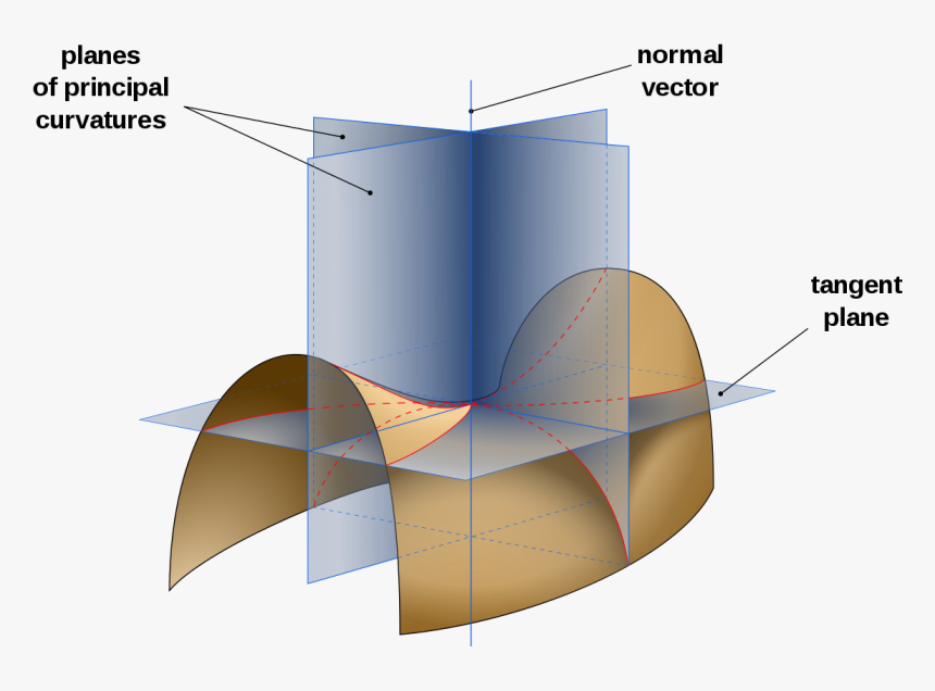 Planes Of Principal Curvature, HD Png Download, Free Download