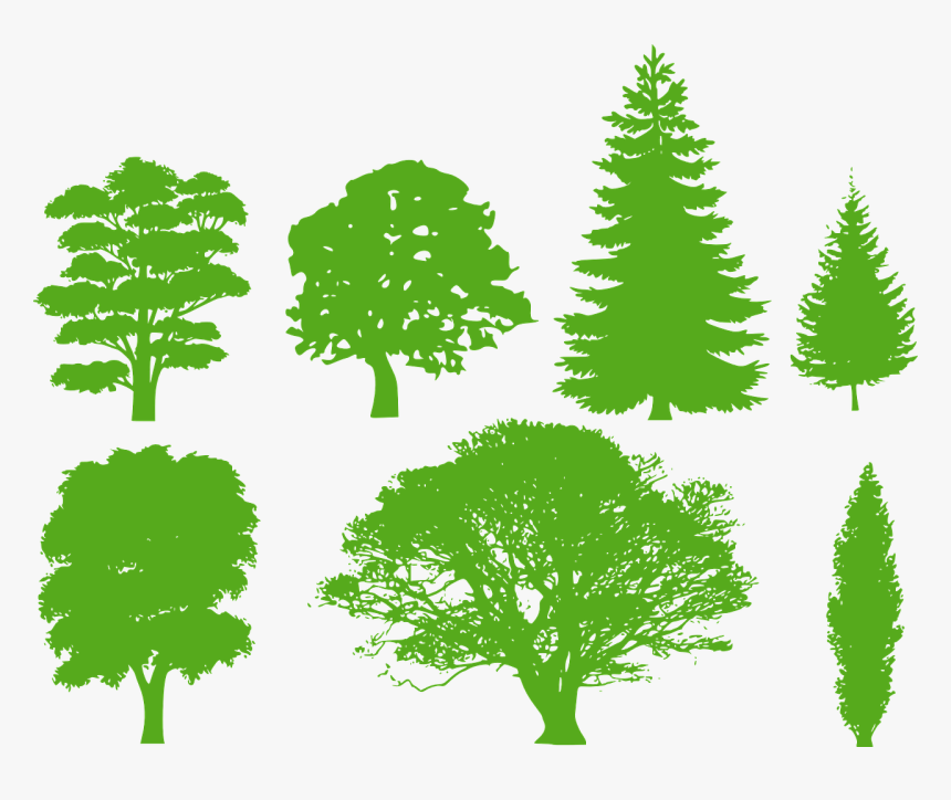 Green Tree Silhouette Png, Transparent Png, Free Download