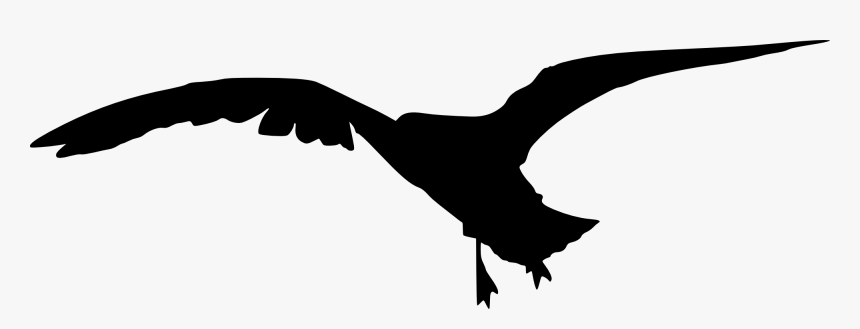 15 Bird Silhouette - Silhouette Vulture Head Png Transparent, Png Download, Free Download