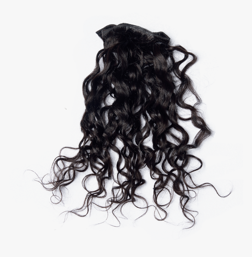 Curly Black Hair Png , Png Download - Black Curly Hair From Back Png, Transparent Png, Free Download