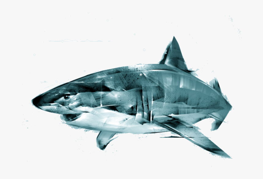 Great White Shark , Png Download - Great White Shark, Transparent Png, Free Download