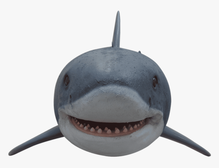 Shark Great White Life Size - Great White Shark, HD Png Download, Free Download