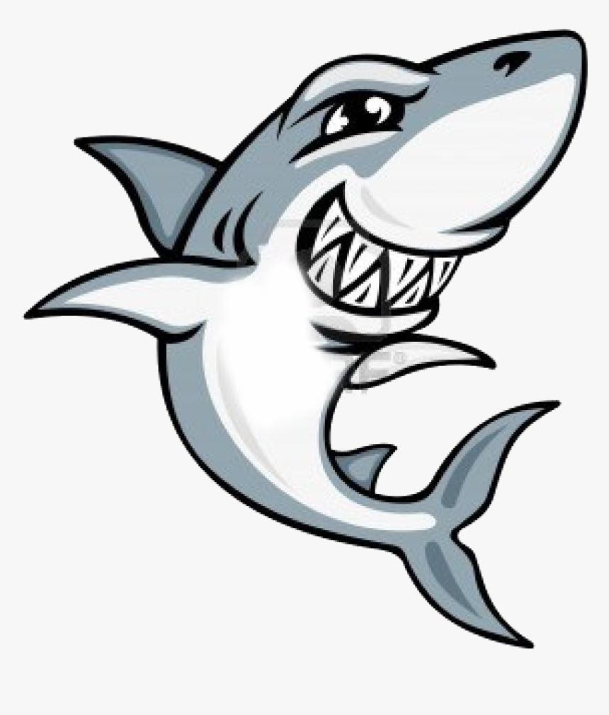 Shark Cartoon Drawing, HD Png Download, Free Download