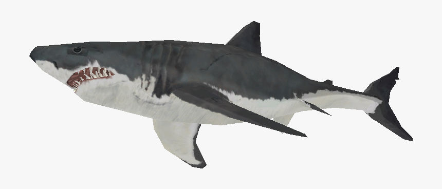 Download Zip Archive - Great White Shark, HD Png Download, Free Download