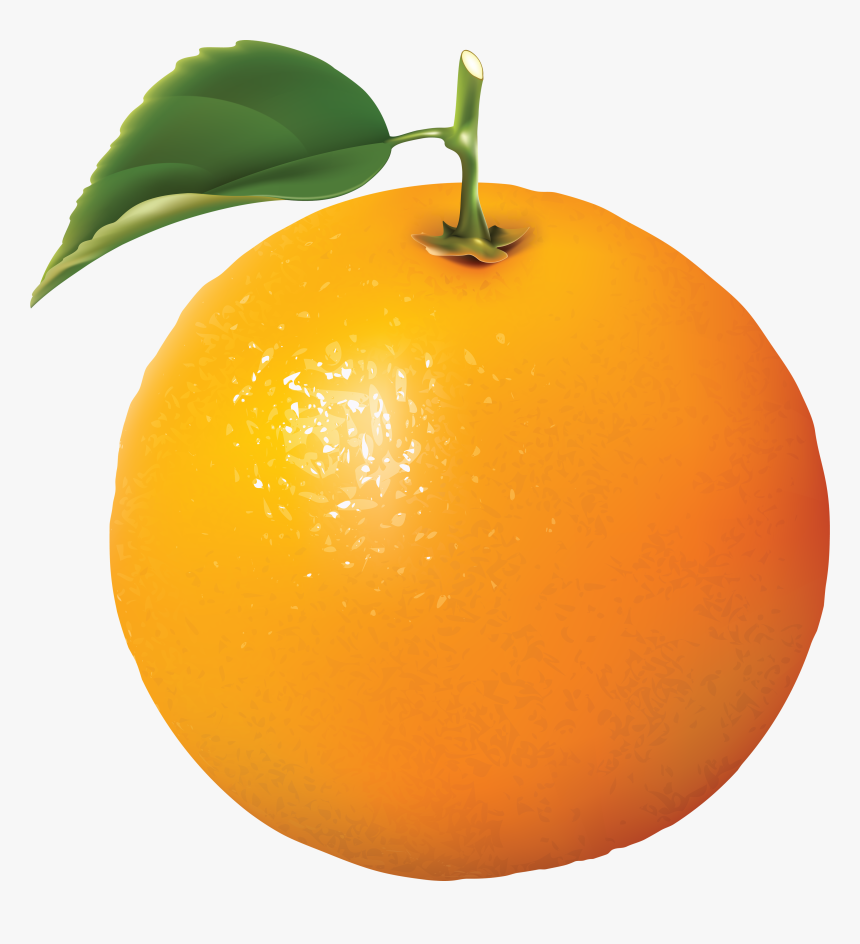 Thưởng thức hương vị tuyệt vời của quả cam qua hình ảnh rực rỡ này. Quả cam hữu cơ tươi ngon và đầy dinh dưỡng chắc chắn sẽ khiến bạn muốn thưởng thức ngay lập tức.