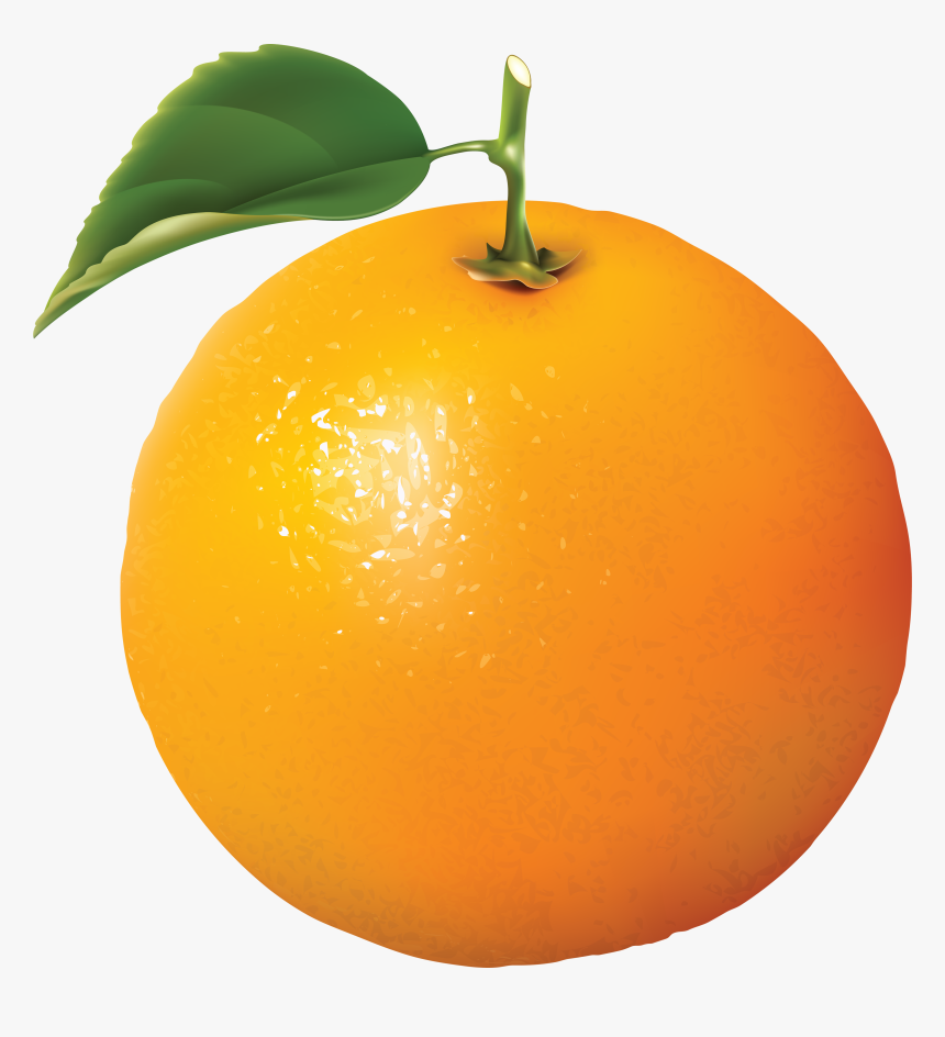 Oranges Png Image - Orange Fruit, Transparent Png, Free Download